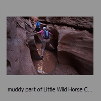 muddy part of Little Wild Horse Canyon